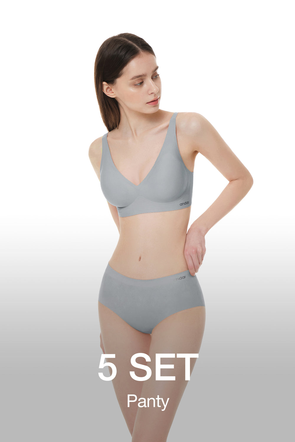 [5 SET] All-Day Fit Panty (Hiphugger)