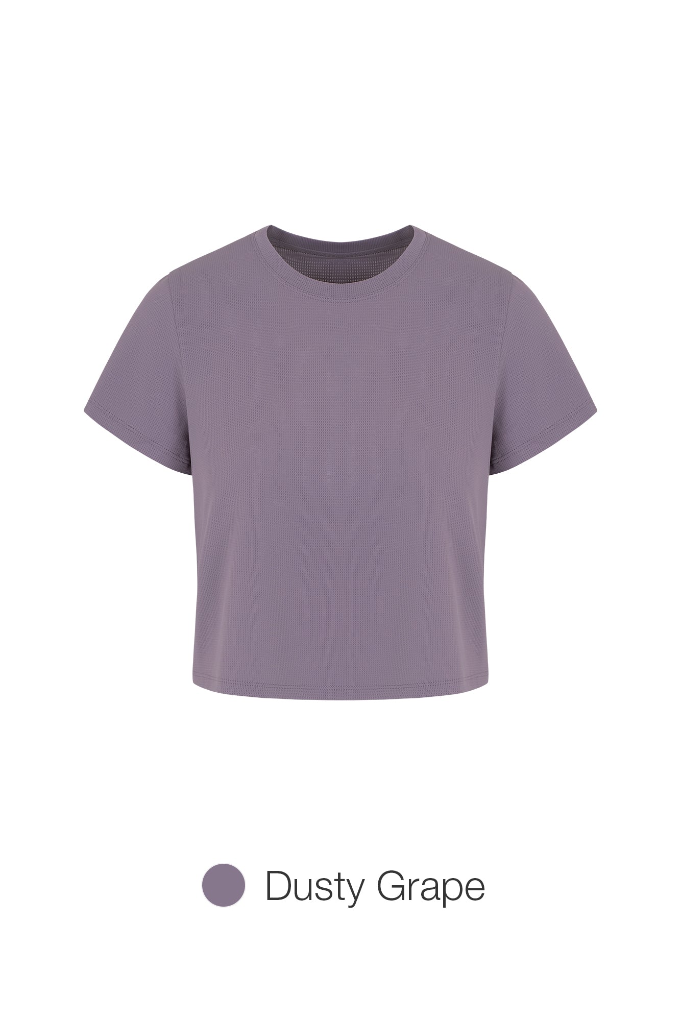 Mesh Stretch Cropped Short Sleeve