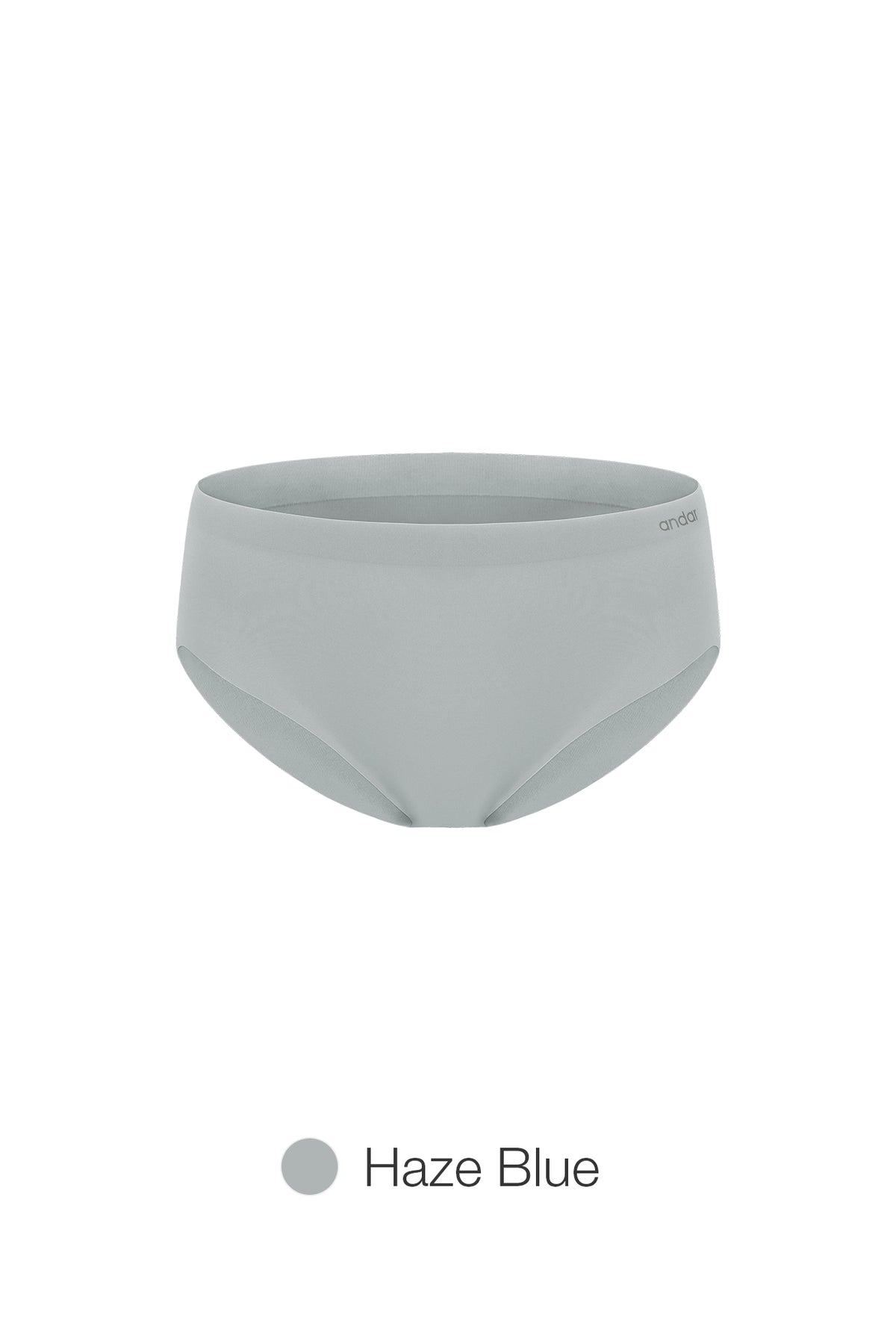[5 SET] All-Day Fit Panty (Hiphugger)