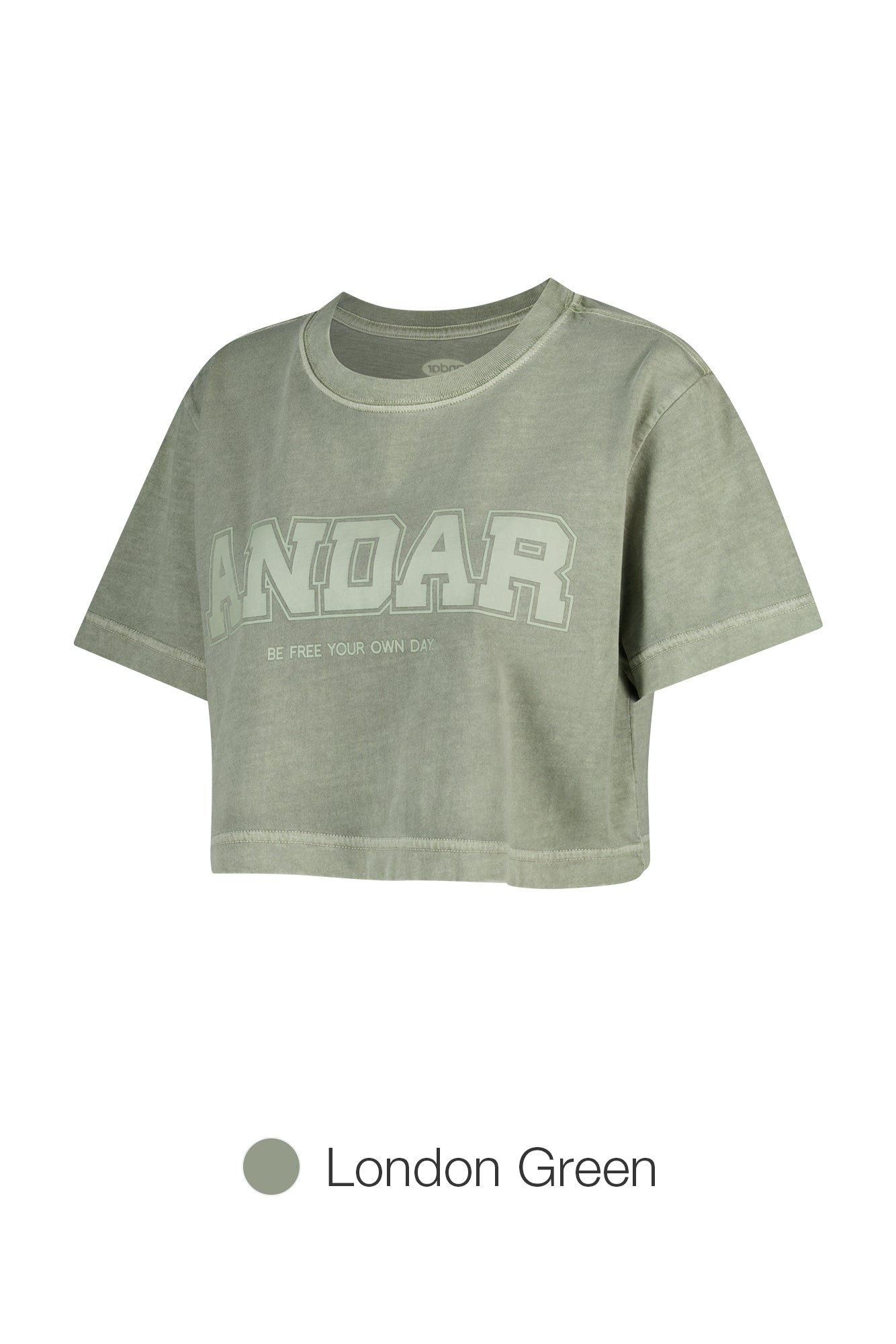 ANDAR Pigment Dyed Cropped Short Sleeve