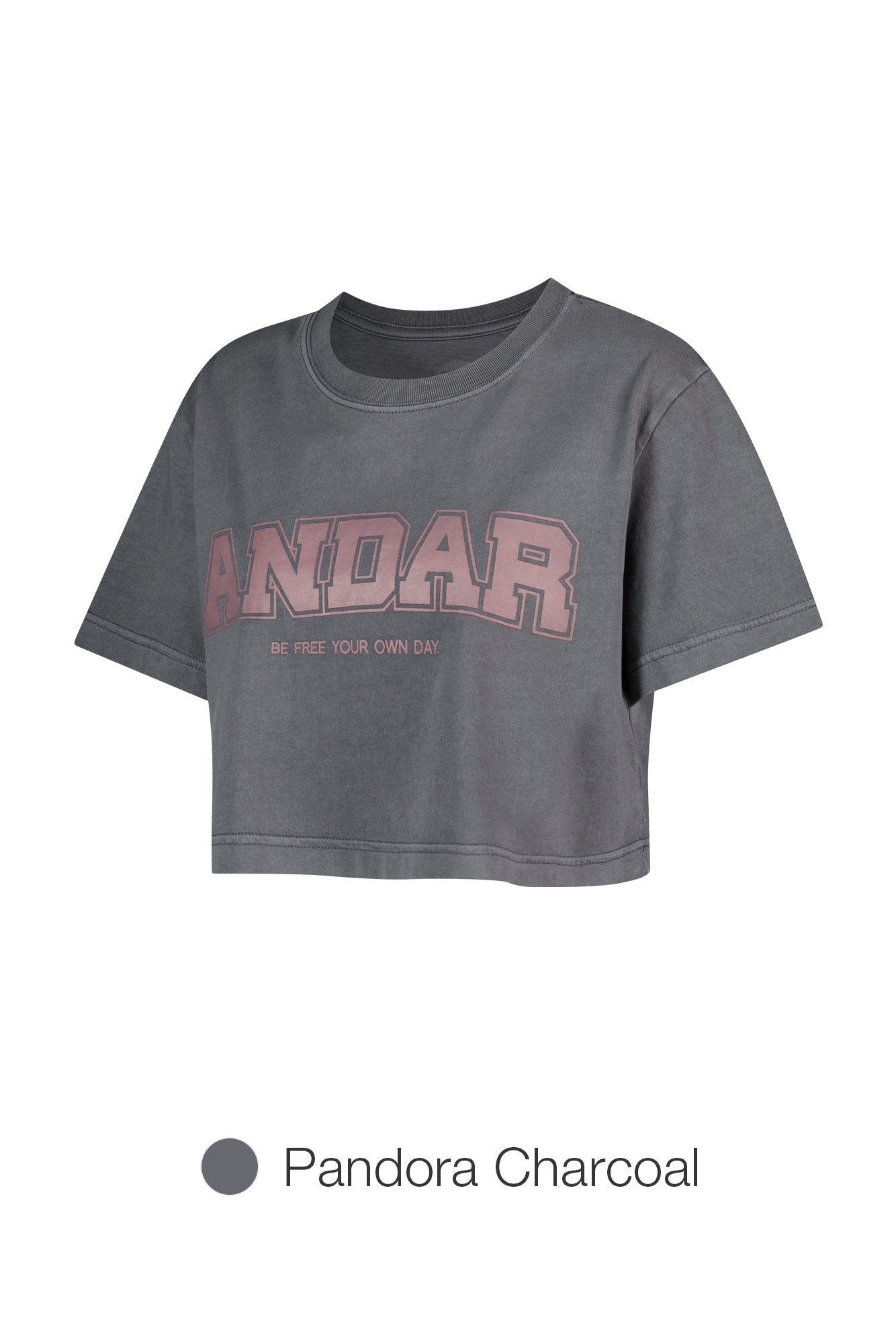 ANDAR Pigment Dyed Cropped Short Sleeve